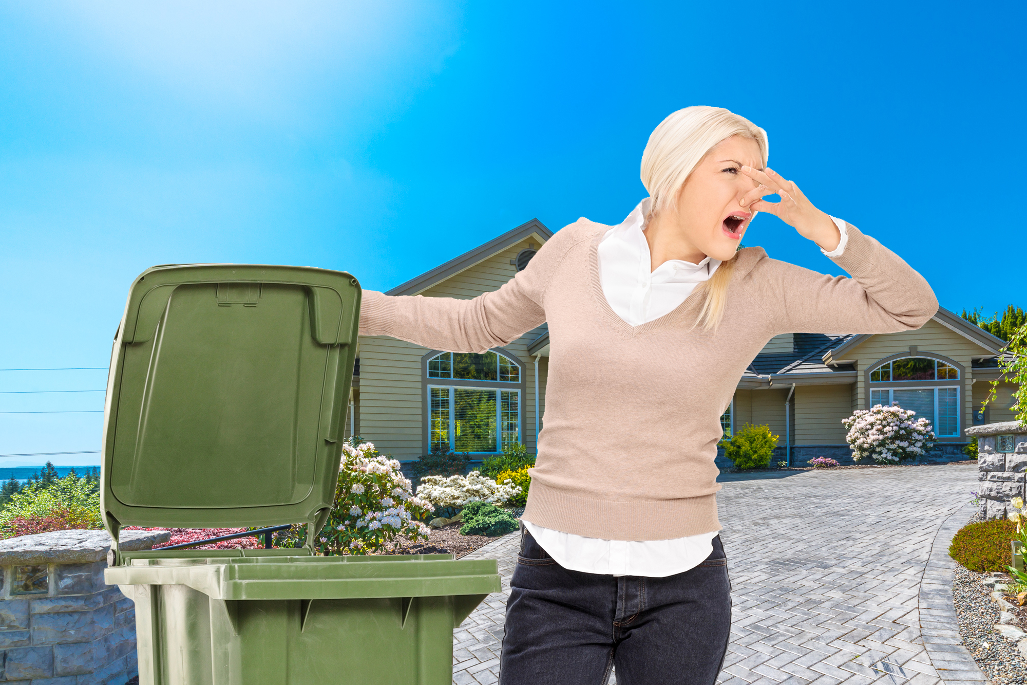 images/TRASH_BIN_CLEANING_SERVICES2.jpg